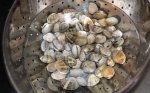 clams - soaking